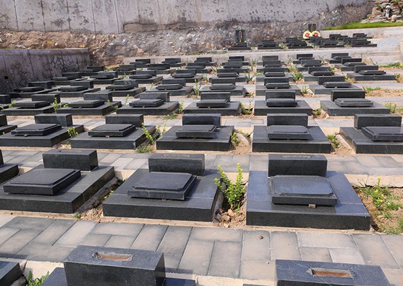 墓区展示